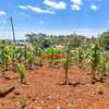 0.1 ha Land at Gikambura thumb 7