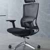 Office Chair: Orthopedic Mesh Seat thumb 1