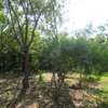 1-Acre Plots For Sale in Diani thumb 7