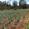 1 3/4 acres land Limuru   waiyaki way @ 100M thumb 2