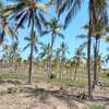 Malindi beach plots thumb 1