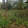 4 ac land for sale in Kilimani thumb 10