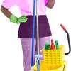Nannies/HouseKeeper/Cooks & Chef,Maids Cleaners & Gardener Services Nairobi. thumb 11