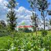 7.5 ac Land in Kikuyu Town thumb 20