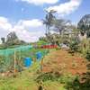 0.05 ha Residential Land at Gikambura thumb 26