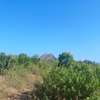 5,000 m² Land in Malindi thumb 2