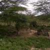 100,000 Acres Affordable Land Are for Sale in Malindi-Kilifi thumb 1