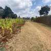500 m² commercial land for sale in Kikuyu Town thumb 2