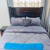 Furnished 1 Bed Apartment with En Suite in Garden Estate thumb 1