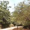 1 Acre Piece Of Land In Casuarina Road Malindi For Sale thumb 4