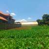 1,000 m² Residential Land at Ondiri thumb 25