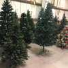 Decorated Christmas Trees for sale thumb 0