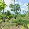 4 ac land for sale in Mtwapa thumb 3