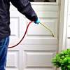Pest Control Mombasa.Call the experts to get the job done.Get a free quote today thumb 5