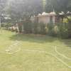 House in double plots for sale Bypass Varsity Ville. thumb 3