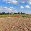 0.125 ac Residential Land at Lusigetti thumb 3