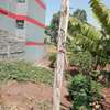 0.125 ac Residential Land at Kenyatta Road thumb 8