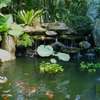 Water Feature Installation Services.Vetted & Trusted Professionals.Free Quote thumb 3