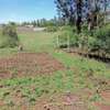 0.045 ha Residential Land at Kikuyu Kamangu thumb 0