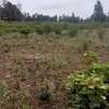 Kenol 40*80ft commercial plots for sale in Muranga county thumb 3