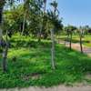 land for sale in vipingo thumb 6