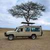 Masai Mara Group Joining Daily Packages thumb 10