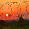 Professional Electric Fencing Contractor in Nairobi | Electric fence repairs in Kenya. thumb 12