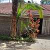 6 Bed House with Garden in Gigiri thumb 23