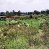 0.25 ac Residential Land in Ngong thumb 0