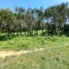 5 ac Land at Burguret thumb 12