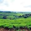 20 ac Land at Riara Ridge thumb 2