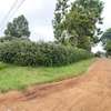 Residential Land at Kinanda Road thumb 4