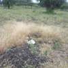 0.125 ac Residential Land in Ongata Rongai thumb 9