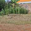 1/8 Acre Land For Sale in Kenyatta Road, near Muigai Inn thumb 1