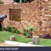 Gardening Services,Catering Services,Housekeeping Services,Security Services thumb 0