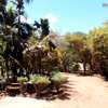 6 Bedroom Villa  For Sale In Casuarina Road, Malindi thumb 14