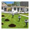 Solar-Powered Pest Repeller For Moles And Rodents, 2 Pack thumb 4