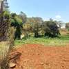 0.5 ac Residential Land at Muthithi thumb 39