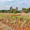 0.05 ha Residential Land in Kamangu thumb 29