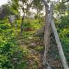 Land for sale in Msabaha, Malindi,Near the Road thumb 1