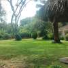 Residential Land at 5 Acres At120M Per Acre thumb 3