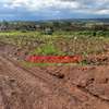 0.05 ha Land at Gikambura thumb 3