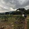 5 Acres  for Sale in Subukia thumb 3