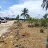 Commercial Land in Vipingo thumb 3
