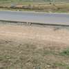 10 ac Commercial Property with Garden in Athi River thumb 3