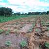95 acres along Athi-River in Kibwezi Makueni County thumb 7