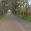 1.36 Acres for Sale in Lavington Nairobi Kenya thumb 13