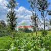 7.5 ac Land in Kikuyu Town thumb 21