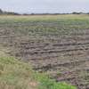 10 ac Land in Isinya thumb 2
