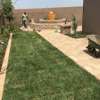 Best Lawn and Garden Services in Nairobi .100% Satisfaction Guaranteed.Get A free Quote. thumb 7